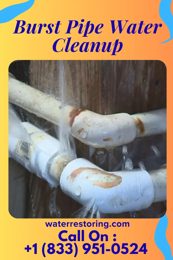 Burst Pipe Water Cleanup in Burnham, PA