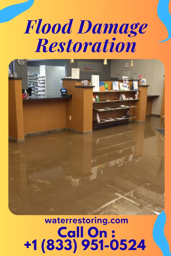 Flood Damage Restoration in Burnham, PA