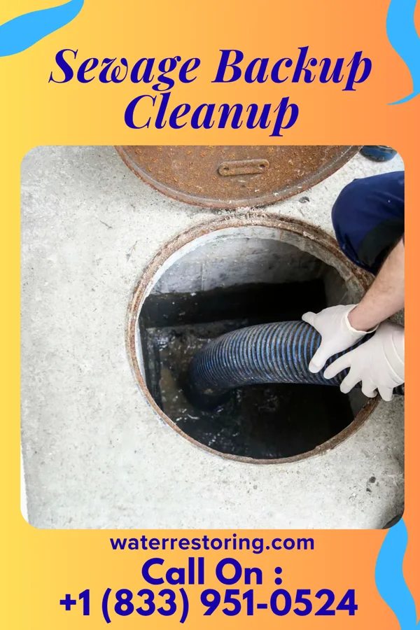Sewage Backup Cleanup in Burnham, PA