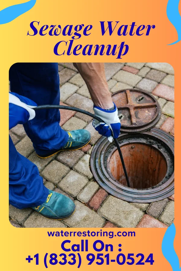 Sewage Water Cleanup in Burnham, PA