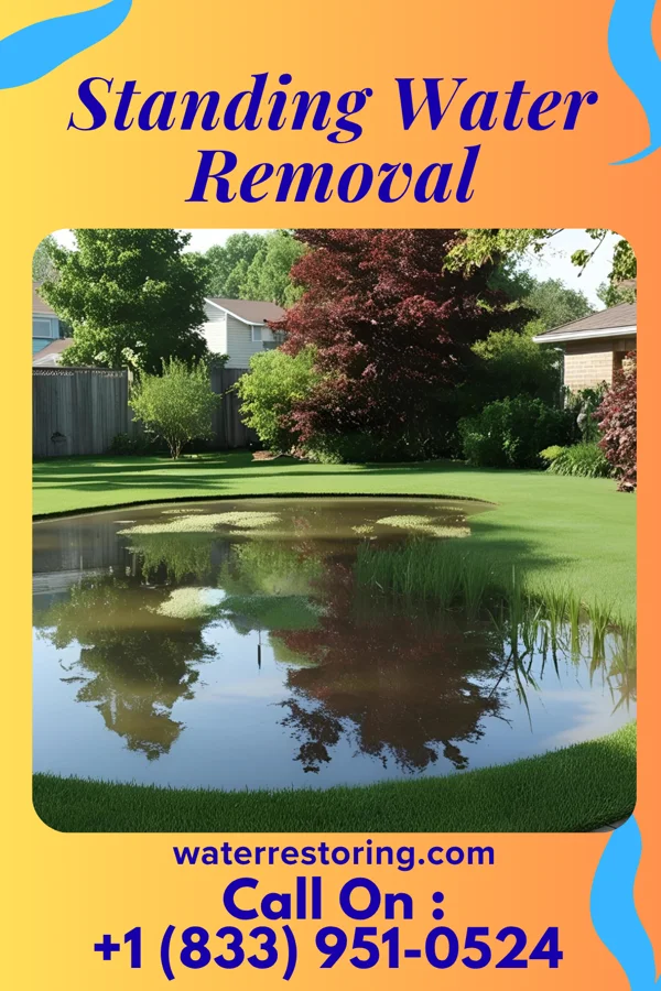 Standing Water Removal in Burnham, PA